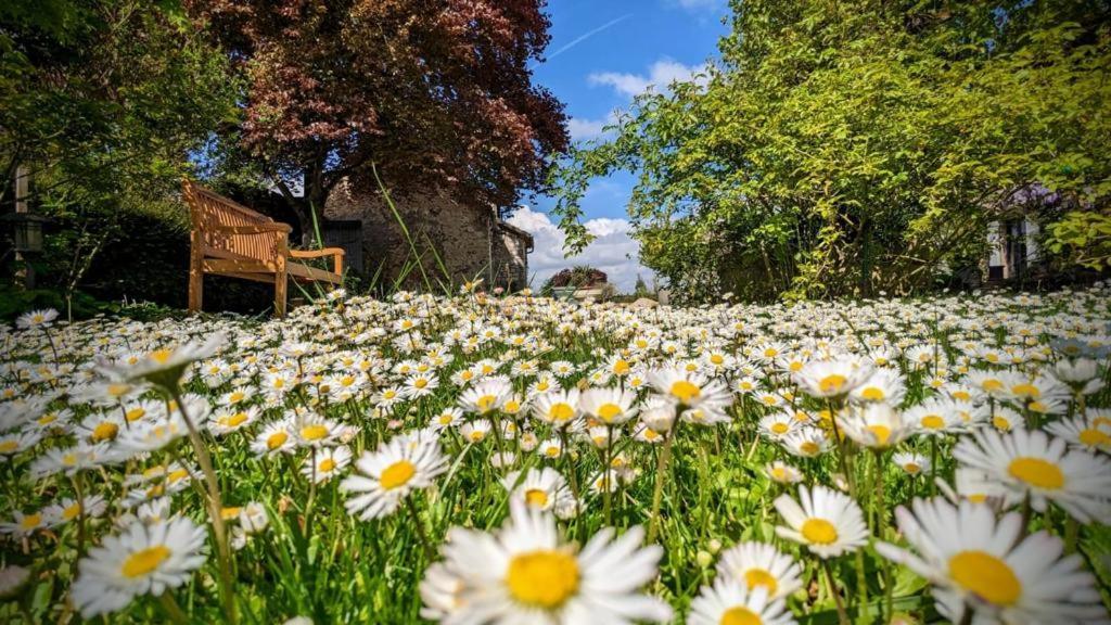 La Plaine De L'Angelus Bed & Breakfast Chailly-en-Biere Екстериор снимка